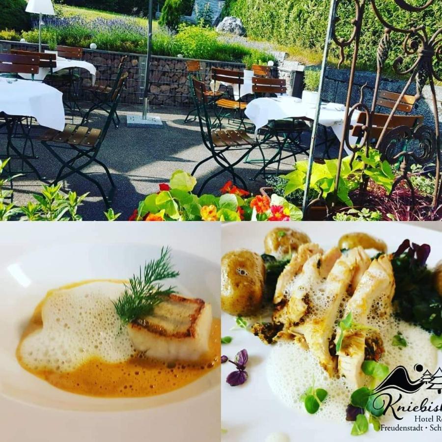 Hotel Restaurant Kniebishoehe 弗罗伊登施塔特 外观 照片